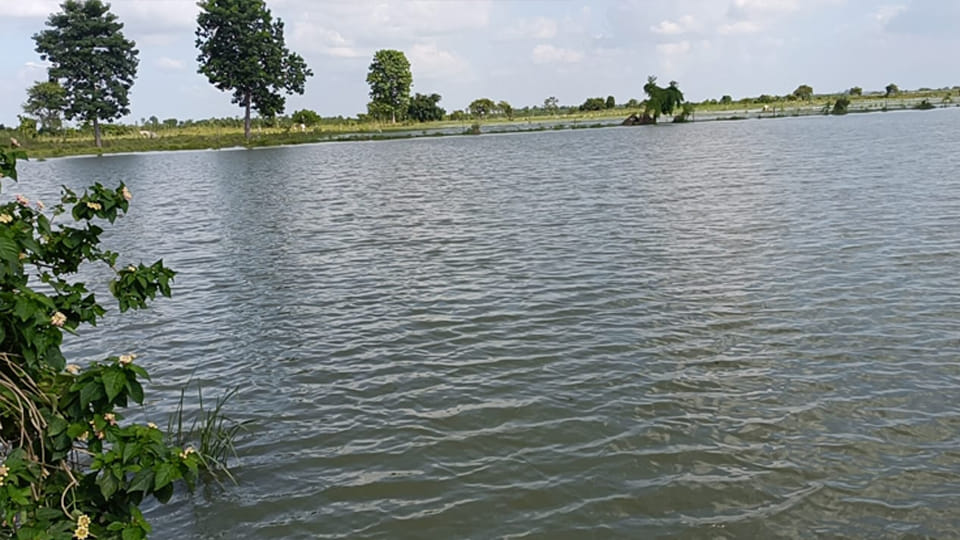 Kanpur: Ganga is overflowing, hundreds of acres of crops are submerged
