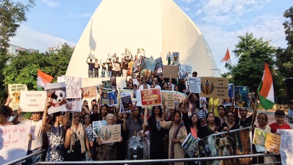 Animal lovers also took out a rally from the Municipal Corporation to the Martyr's Memorial