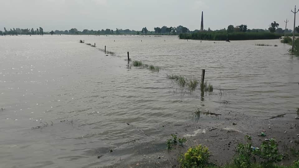 flood in up mathura in worst condition due to yamuna water level rise