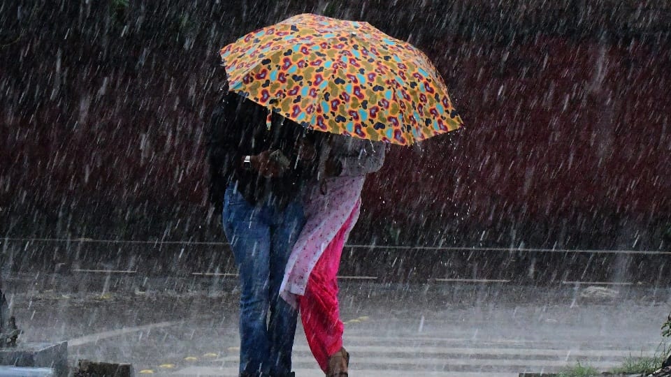 Heavy rain alert for five days in Chandigarh weather news
