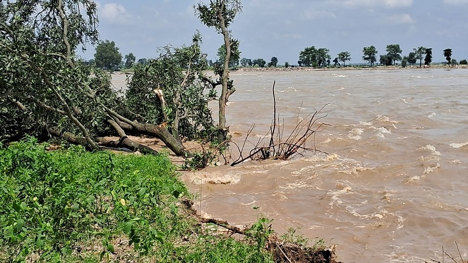 Bijnor: Ganga swelled in Nanglasoti, cut agricultural land and washed away mango trees