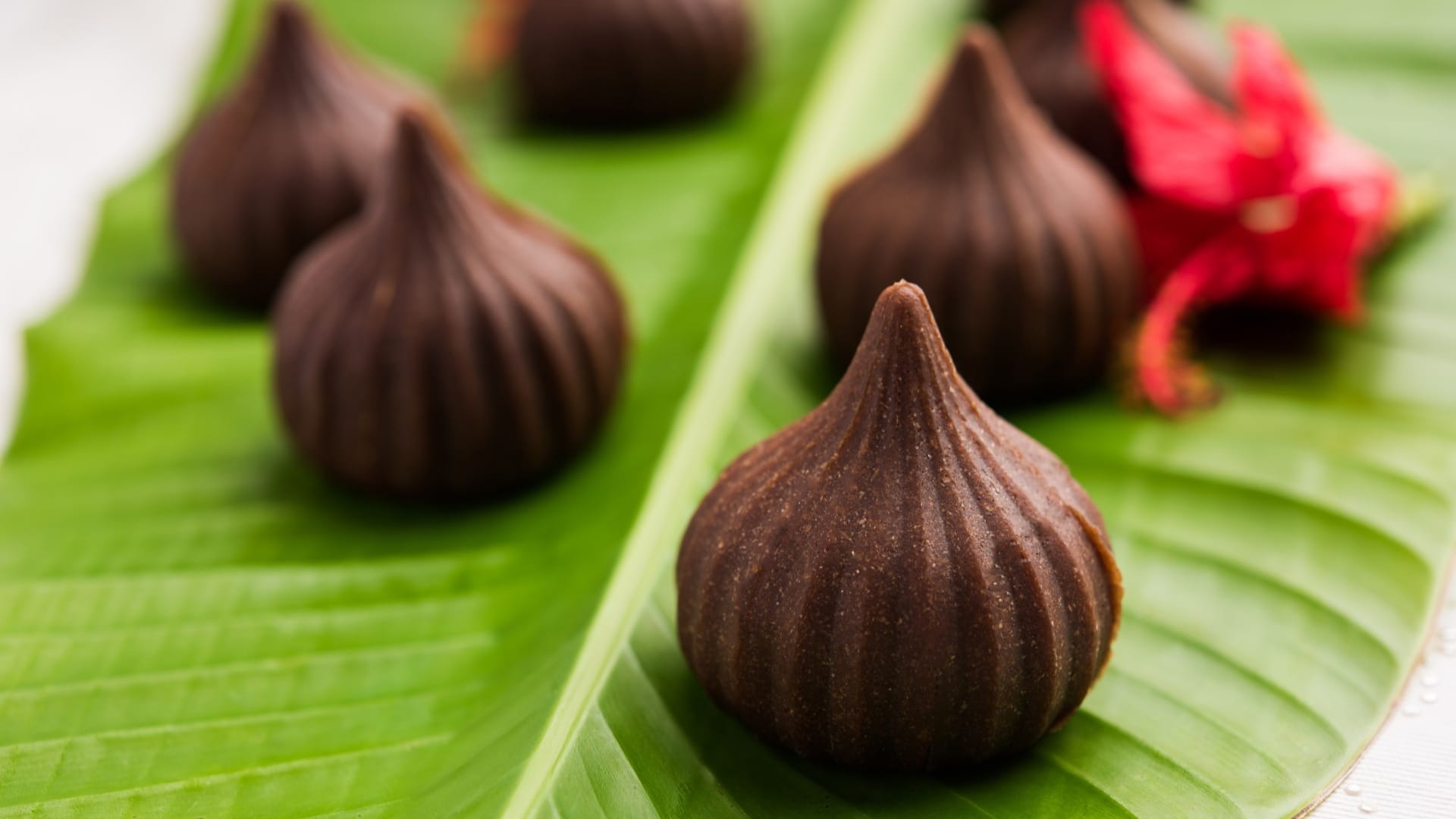 Ganesh Chaturthi 2025 Easy Recipe to Make Delicious Chocolate Modak at Home