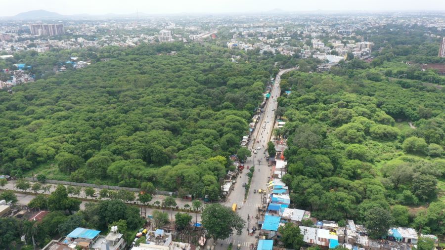 हुकुमचंद मिल का जंगल