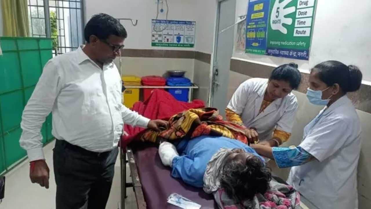 शख्स पर भालू का हमला