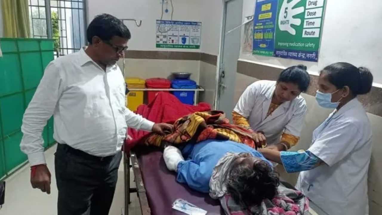 शख्स पर भालू का हमला