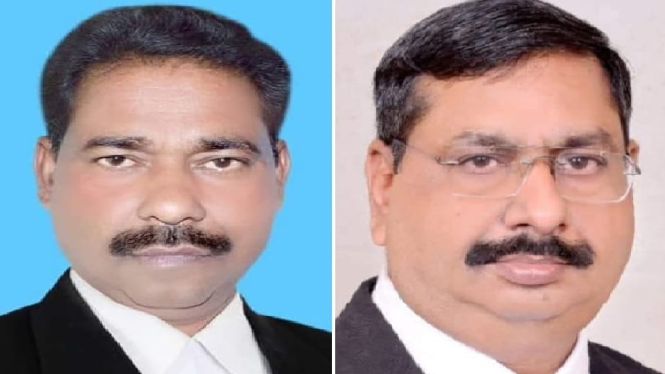 Kanpur Lawyers Association Election Dinesh Verma becomes president