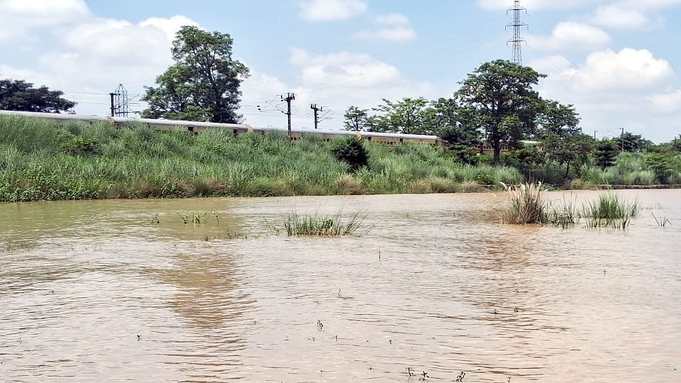 Bijnor: Danger looms on Jammu Tawi-Kolkata railway track, Ganga stream hitting, 50 bigha mango orchard washed