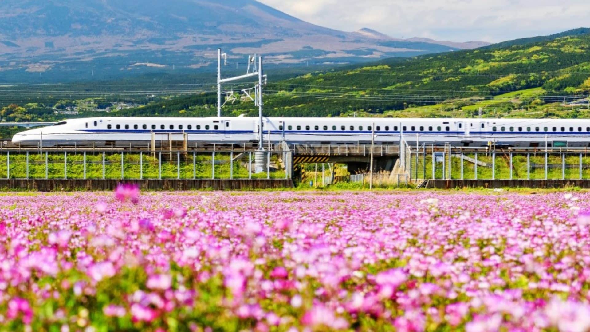 Japanese Trains never delay beyond 30 seconds Know amazing facts about Train Punctuality in Japan