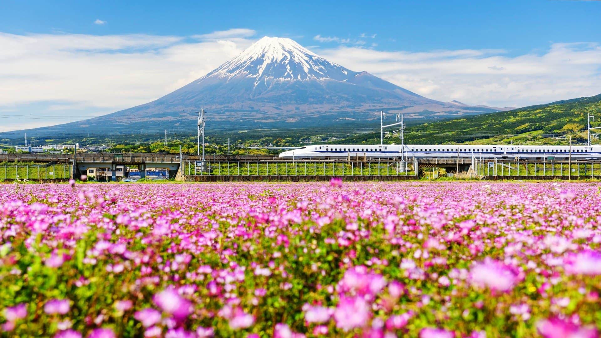 Japanese Trains never delay beyond 30 seconds Know amazing facts about Train Punctuality in Japan