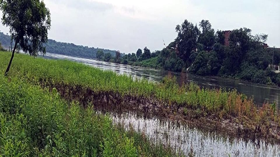 Yamuna Cross Danger Mark Anytime Administration alert