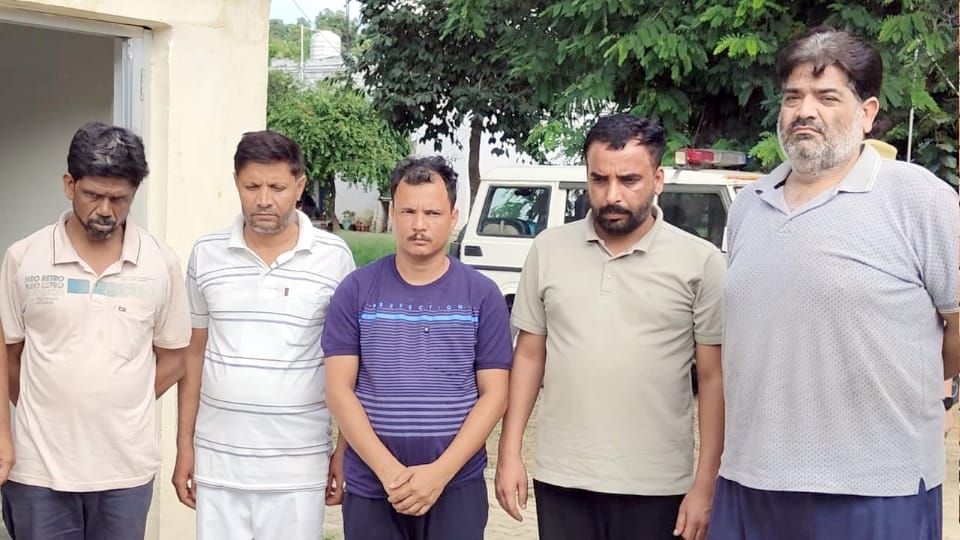 UP News Online betting estimated to have embezzled more than one thousand crore rupees