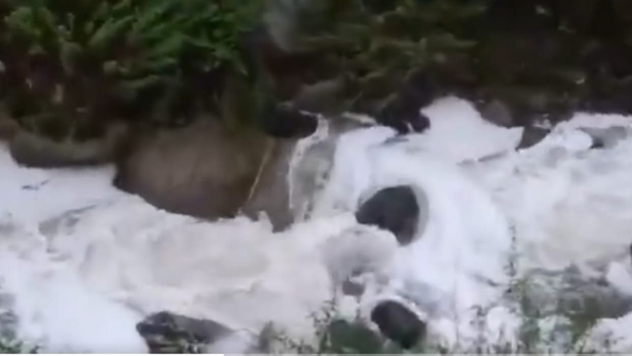 Milk river flowing in Himachal People saw such a sight after heavy rain know what is the truth Viral Video