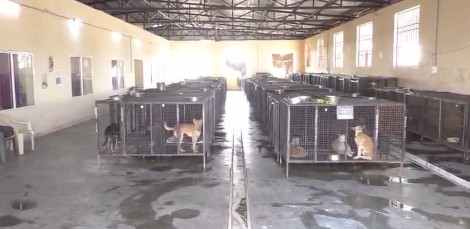 Bhopal: SC's decision on street dogs welcomed in Bhopal, number of sterilization centers, doctors and tables i