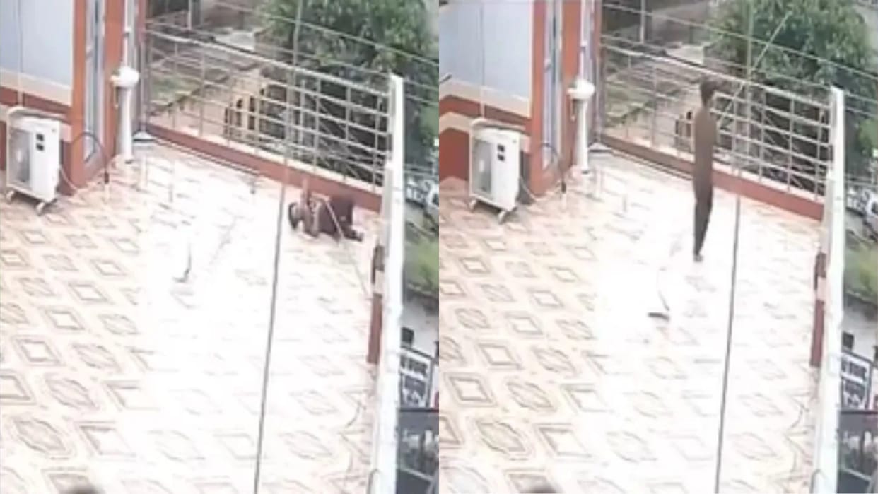 A man went to roof to chase away a monkey the stick hit the electric wire and the boy got an electric shock