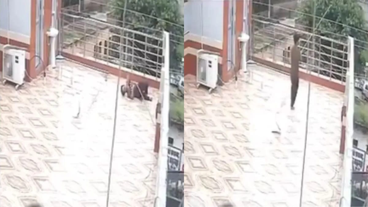 A Man Went To Roof To Chase Away A Monkey The Stick Hit The Electric Wire  And The Boy Got An Electric Shock - Amar Ujala Hindi News Live - Viral  Video:बंदर