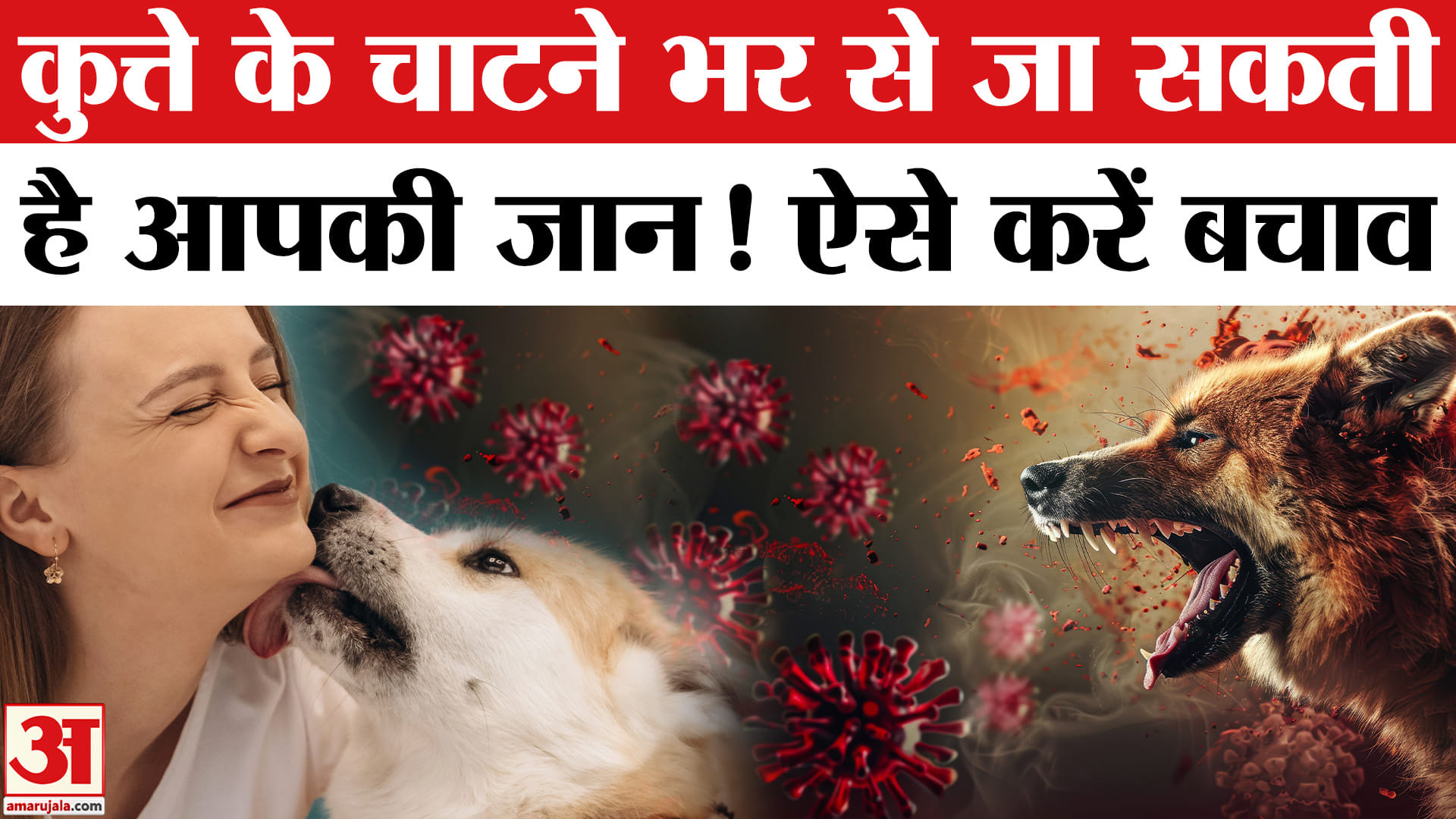 सिर्फ Dog के चाटने से हो सकता है Rabies? लक्षण, बचाव | Rabies Due To ...