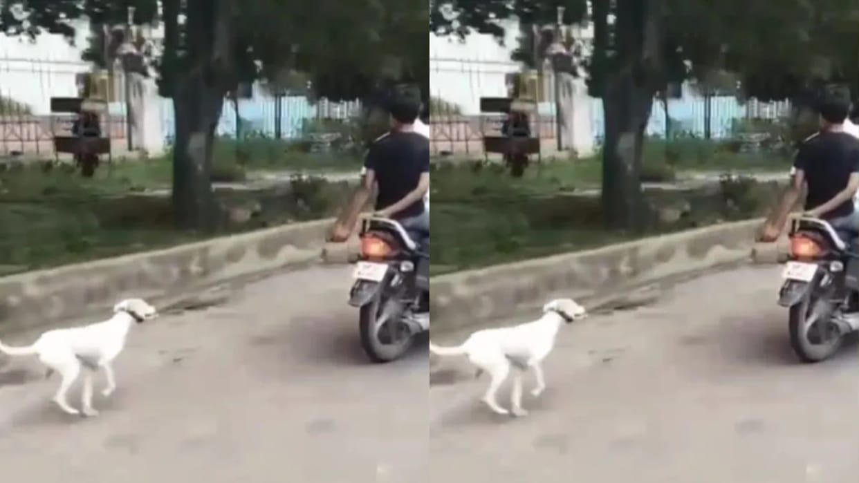 Boys showed cruelty tied the dog with a rope and dragged it with the bike Video goes Viral on Internet