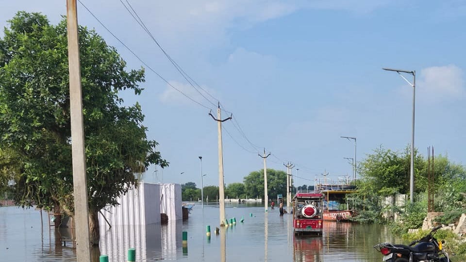 Flood In Up Due To Rising Water Level Of Yamuna Road washed away by strong currents of water In Mathura