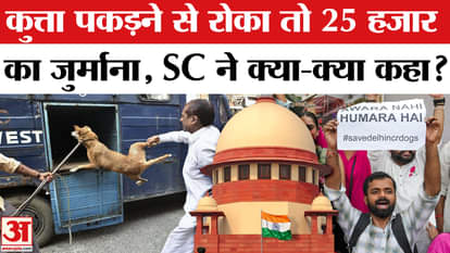 Supreme Court Final Decision on Stray Dogs explained
