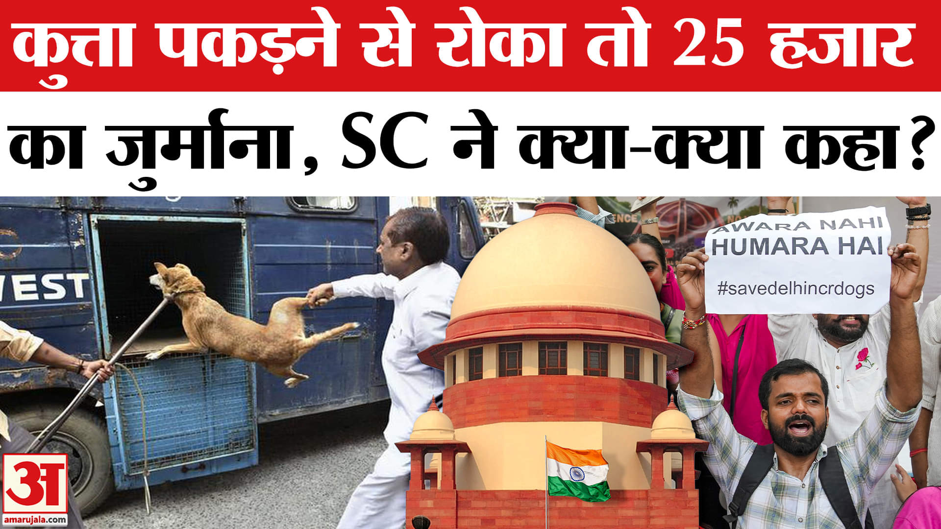 आवारा कुत्ते