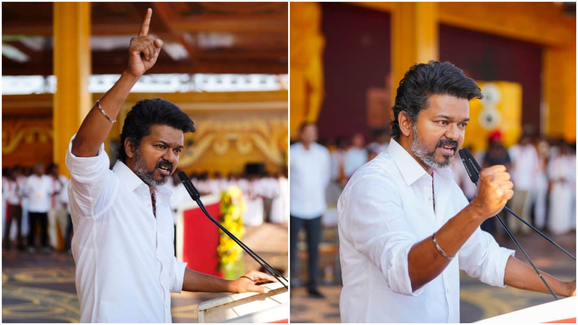 No Alliance 2026 Tamil Nadu Assembly Polls Between DMK And TVK Declares Vijay Know all about it