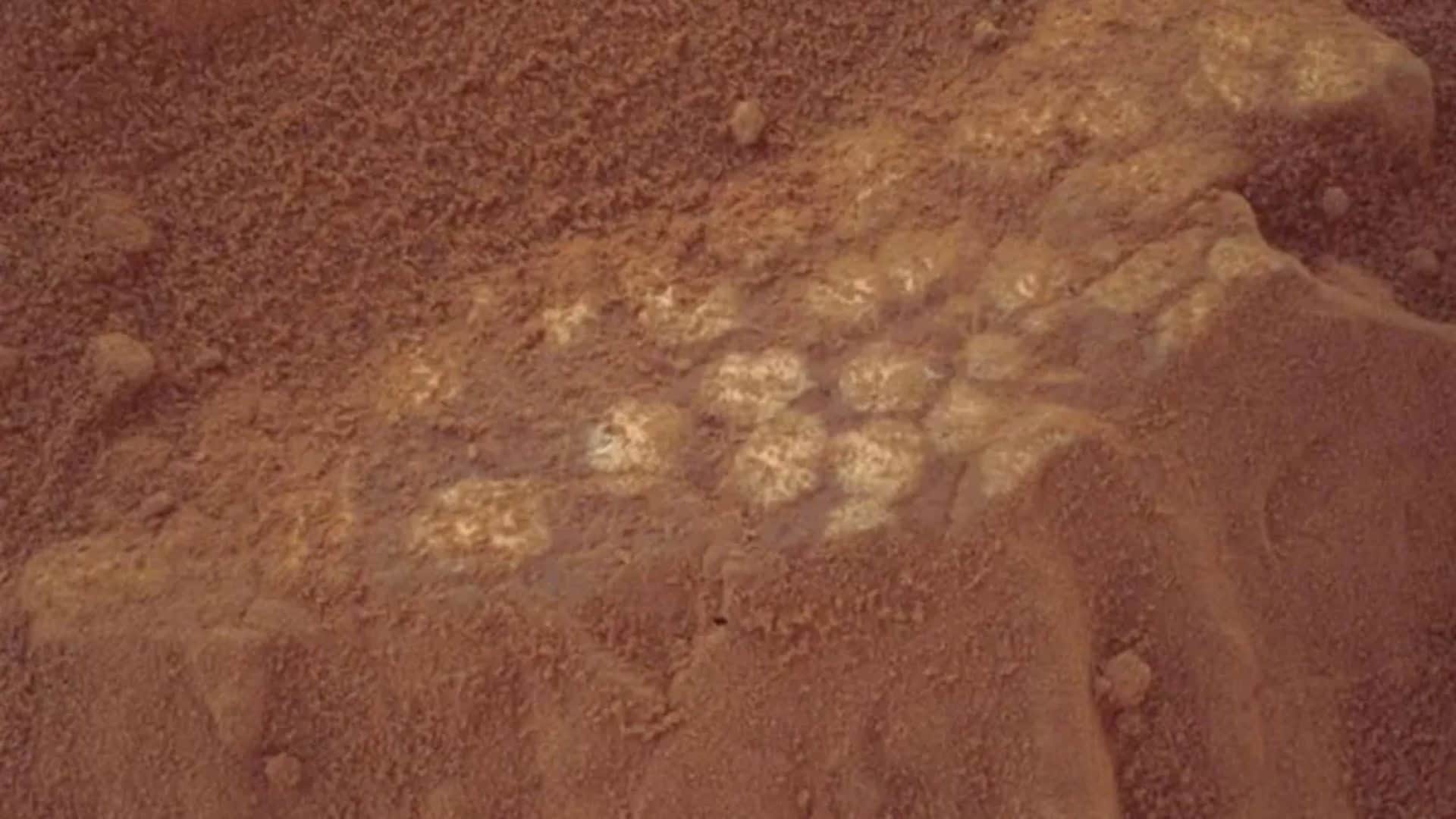 america nasa curiosity rover boxworks found spots dinosaur eggs on mars