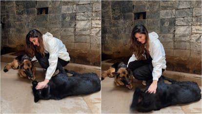 Rasha Thadani gave shelter to two Stray Dogs and a cat in house says we opened our hearts and home for them