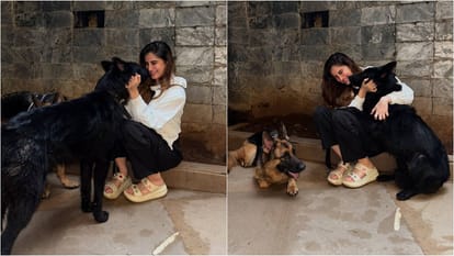 Rasha Thadani gave shelter to two Stray Dogs and a cat in house says we opened our hearts and home for them