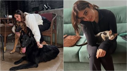 Rasha Thadani gave shelter to two Stray Dogs and a cat in house says we opened our hearts and home for them