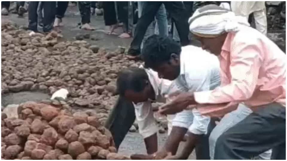 MP Bloody Tradition: more than 700 Injured in Gotmar Fair in Pandhurna 2 Critical