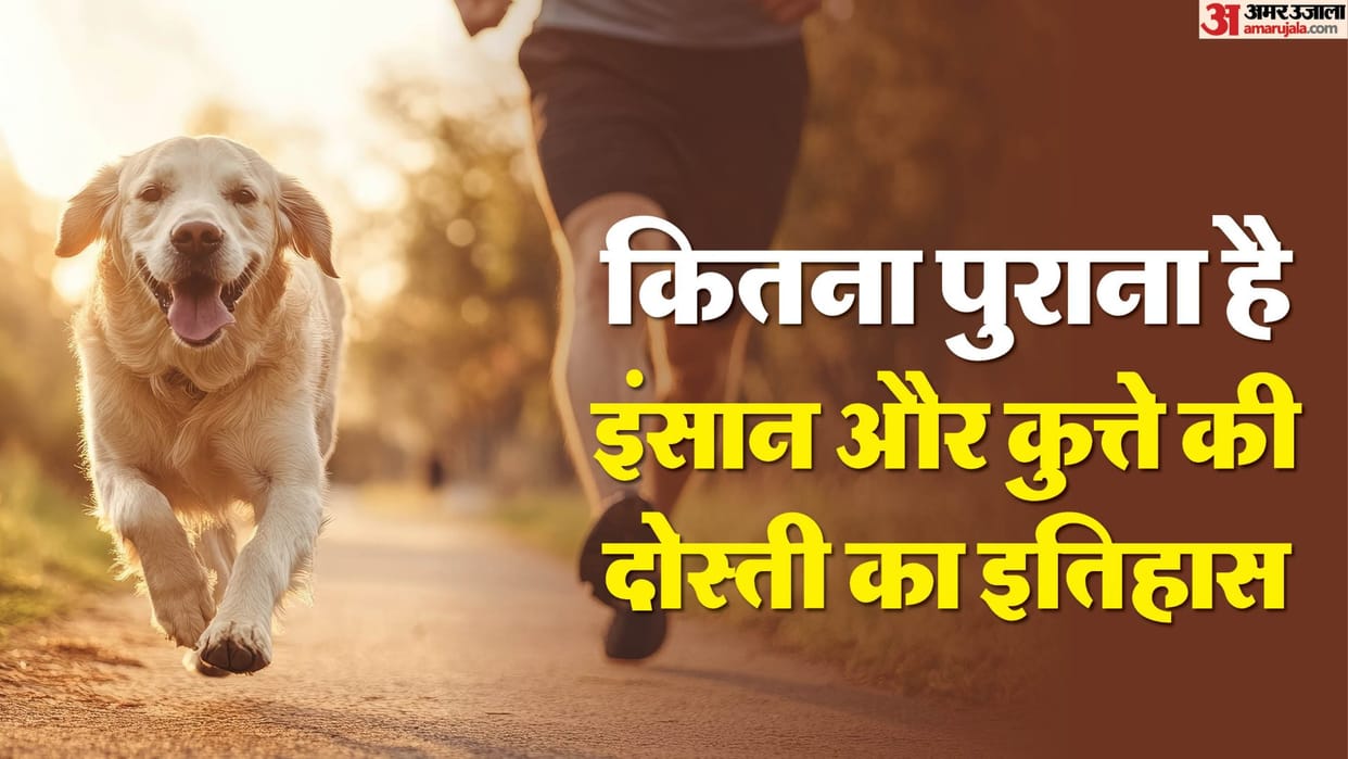 How old is the history of friendship between man and dog? Know The History Of Dogs