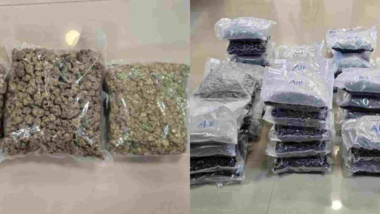 Bhopal News: Hydroponic weed worth Rs 72 crore brought from Thailand to Bhopal