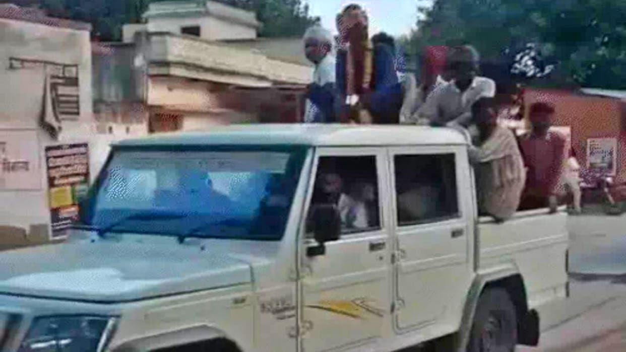 Jhunjhunu News: Killer of 25 dogs came out on bail, rally held in village and DJ played