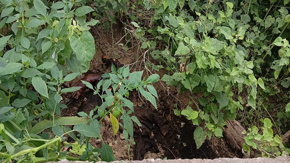 Missing youth murdered, body found in fort moat 12 days later