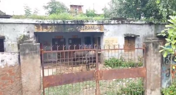 Kanpur Buffalo tied in the closed Sadhan Cooperative Society office for years farmers are upset