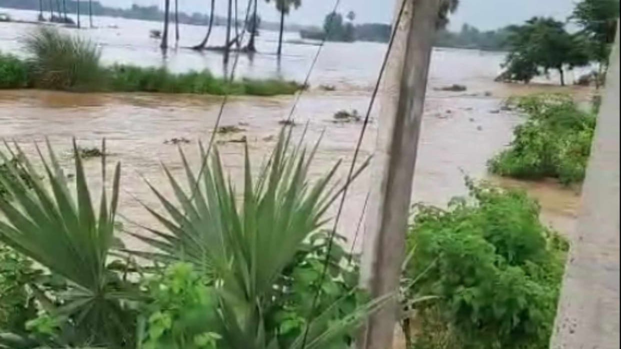 Flood water again rose in Lokayan river, embankment broke in Nalanda, thousands of acres of fields submerged