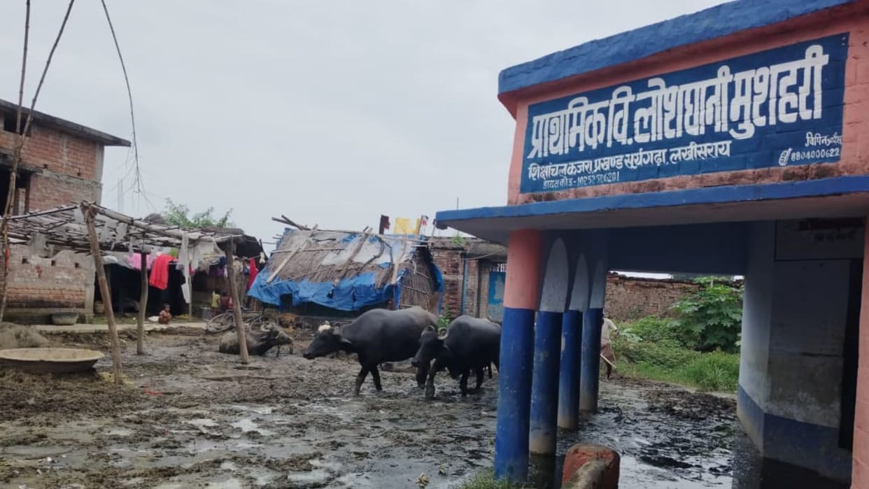 This school in Bihar Lakhisarai has become a stable and the future of the innocents is at stake