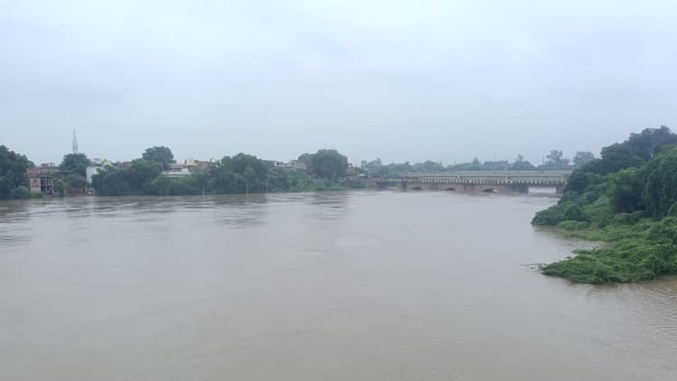 Bihar News: कर्मनाशा नदी का जलस्तर अचानक बढ़ा, सैकड़ों एकड़ फसल डूबी; दहशत में ग्रामीण