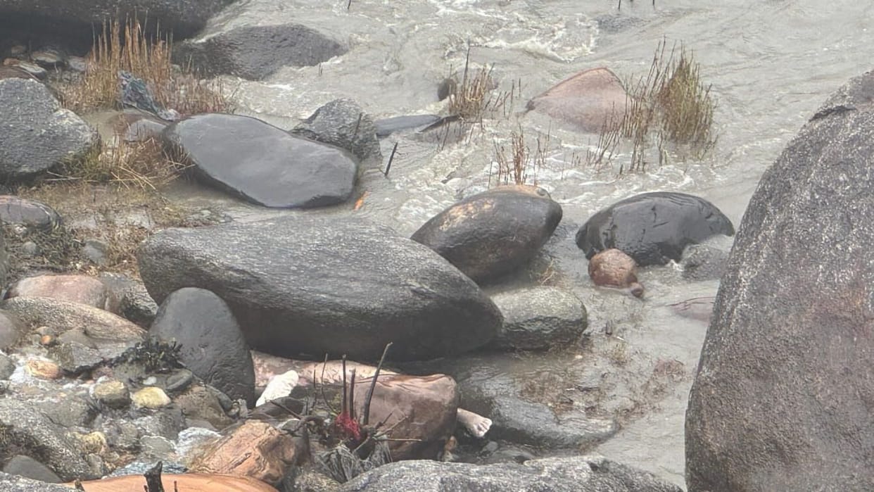 Mandi News deadbody recovered from Beas river