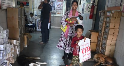 Dog Attack Student is terrified of dog bites wakes up frequently from sleep one lakh stray dogs become problem