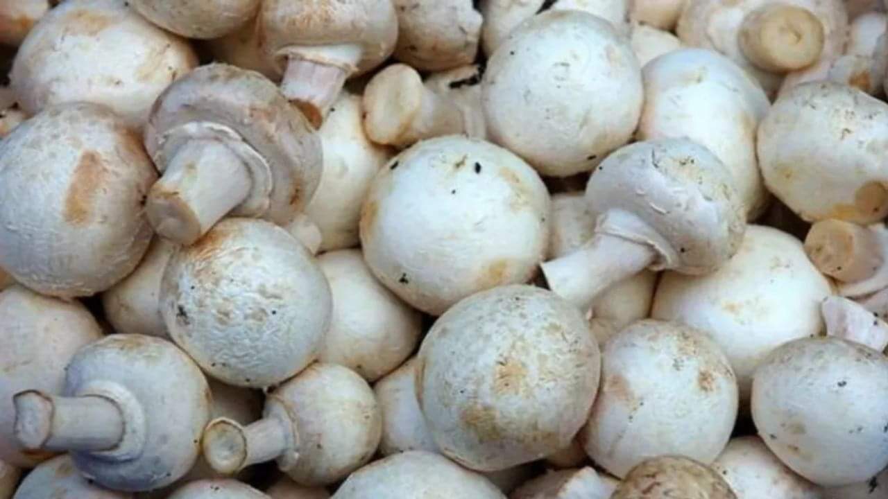 अच्छे से साफ करें