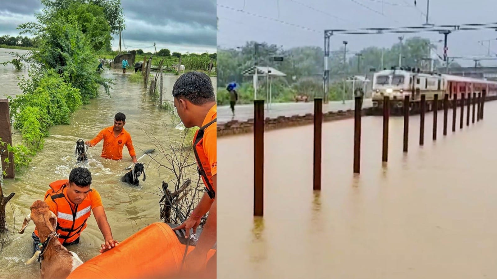 Rajasthan Flood : राहत और बचाव कार्य जारी।