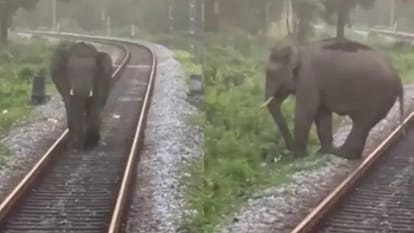 सांकेतिक तस्वीर