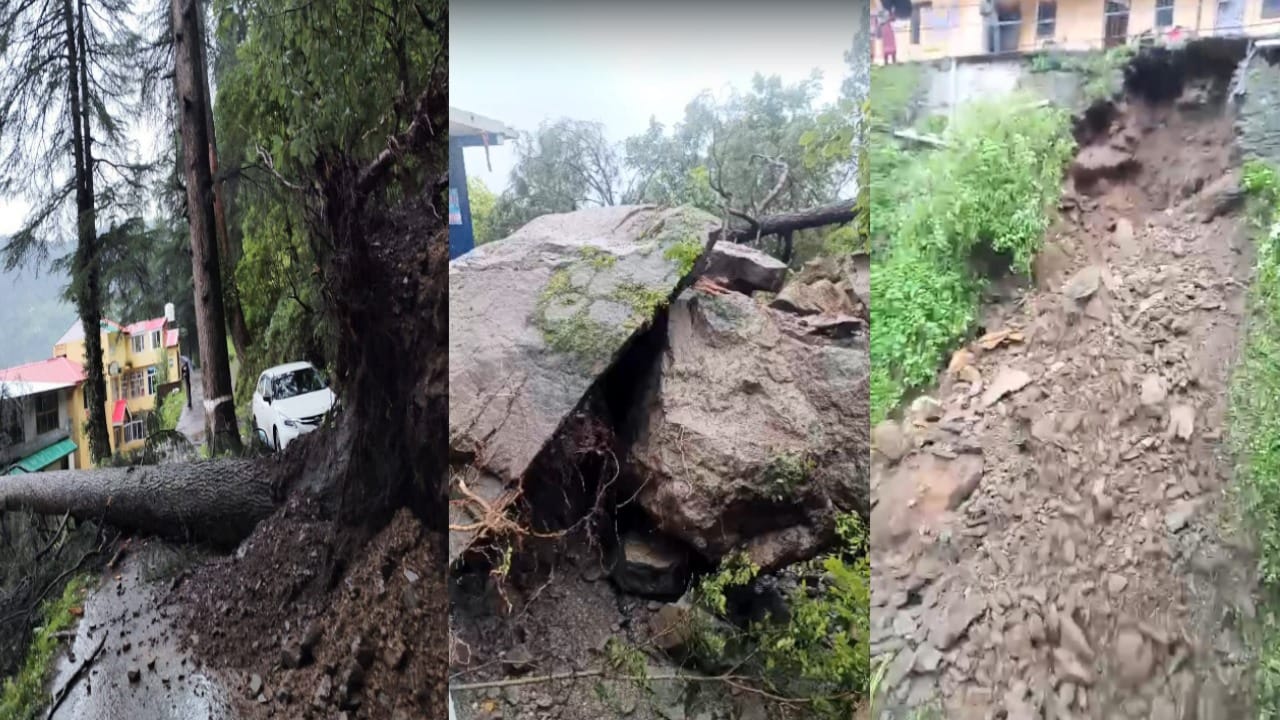 Red alert issued in Himachal due to heavy rain bridges destroyed houses washed away five dead