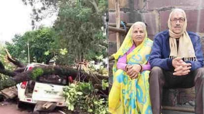 Satna News: Retired IFS officer and wife died after tree fell on Scorpio