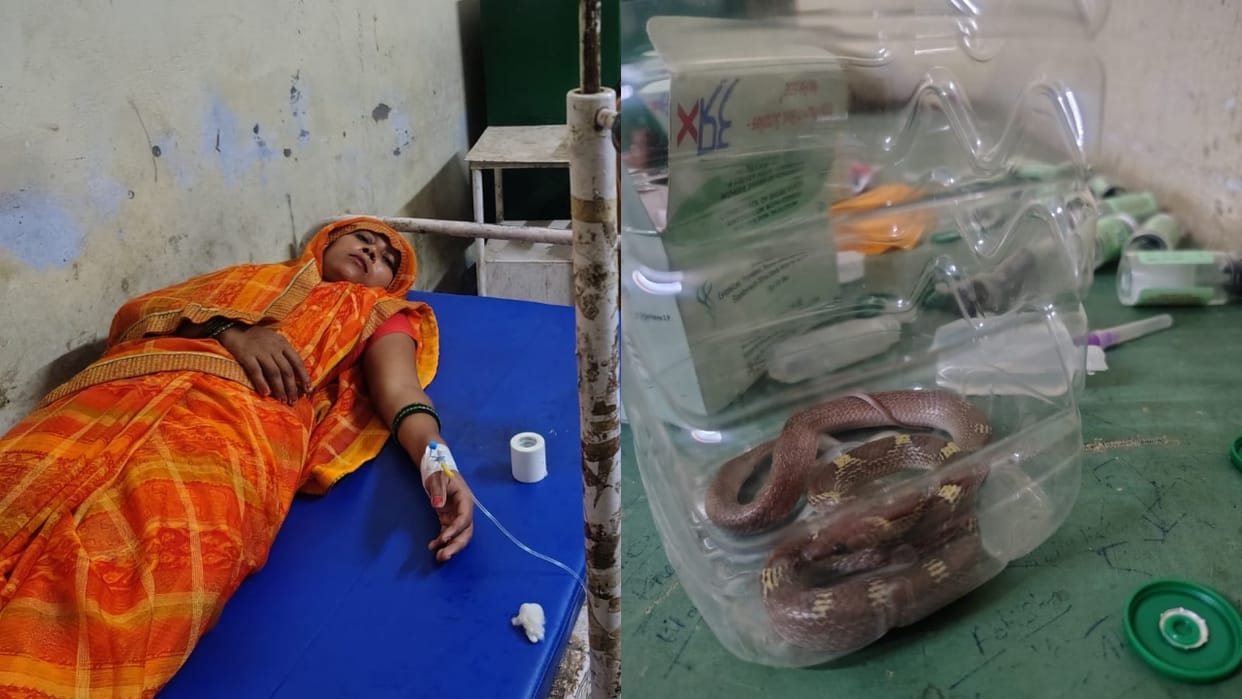Pradhan reached the hospital after locking the snake in box in Lakhimpur kheri