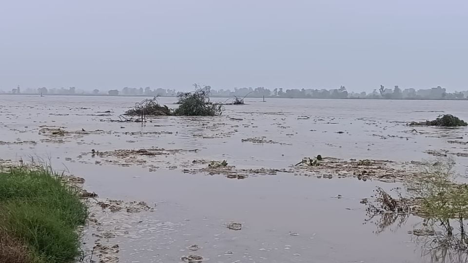 Hundreds of villages submerged in water due to floods in Punjab