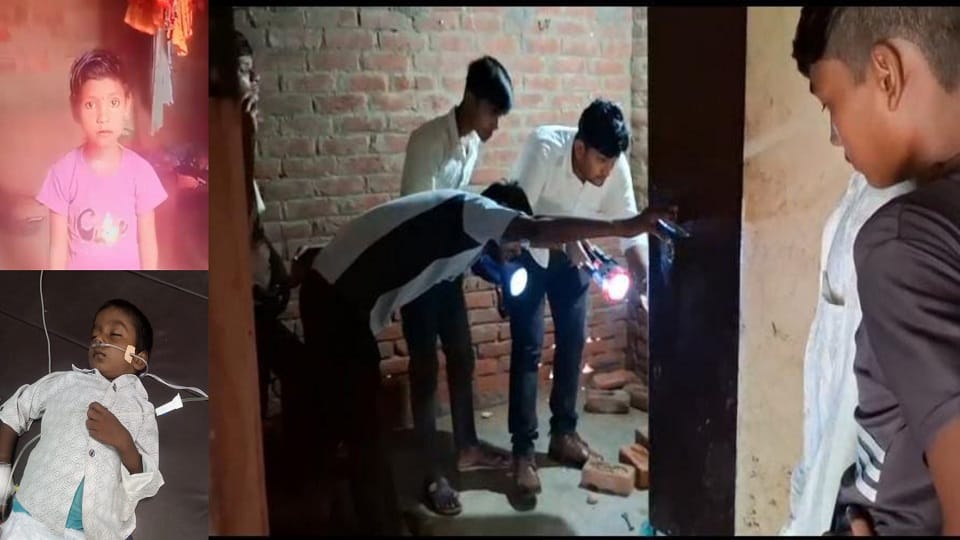 Black snake climbed on bed bit two innocent children while sleeping girl died boy's condition is critical
