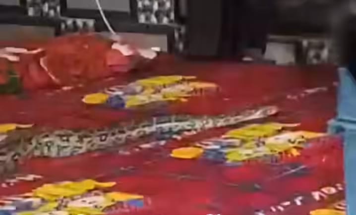 python crawled towards the student sleeping on the cot.