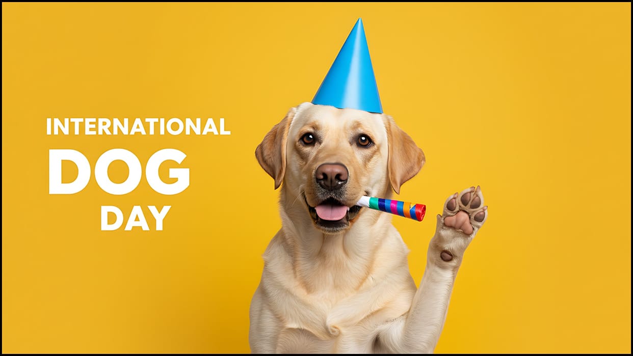 International Dog Day 2025 Date History Significance Theme and importance of Dog in hindi